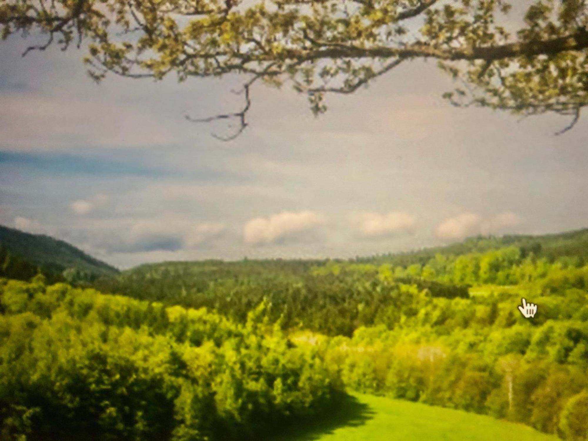 Apartmán Auszeit Mengersgereuth-Hammern Exteriér fotografie